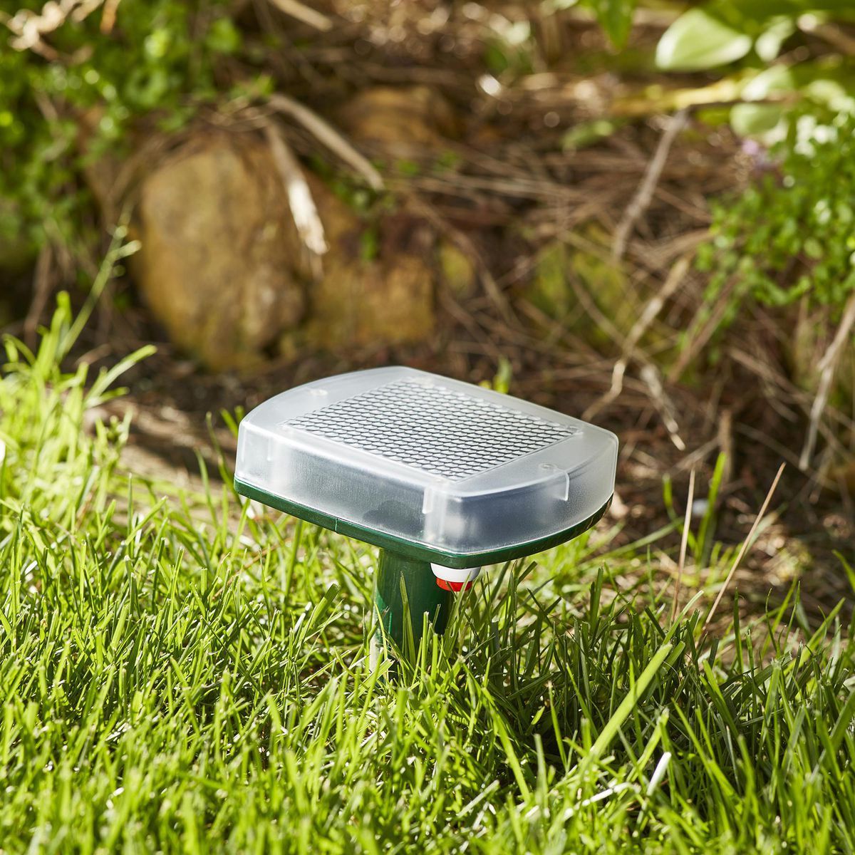 Solar Mole and Gopher Chaser V508057