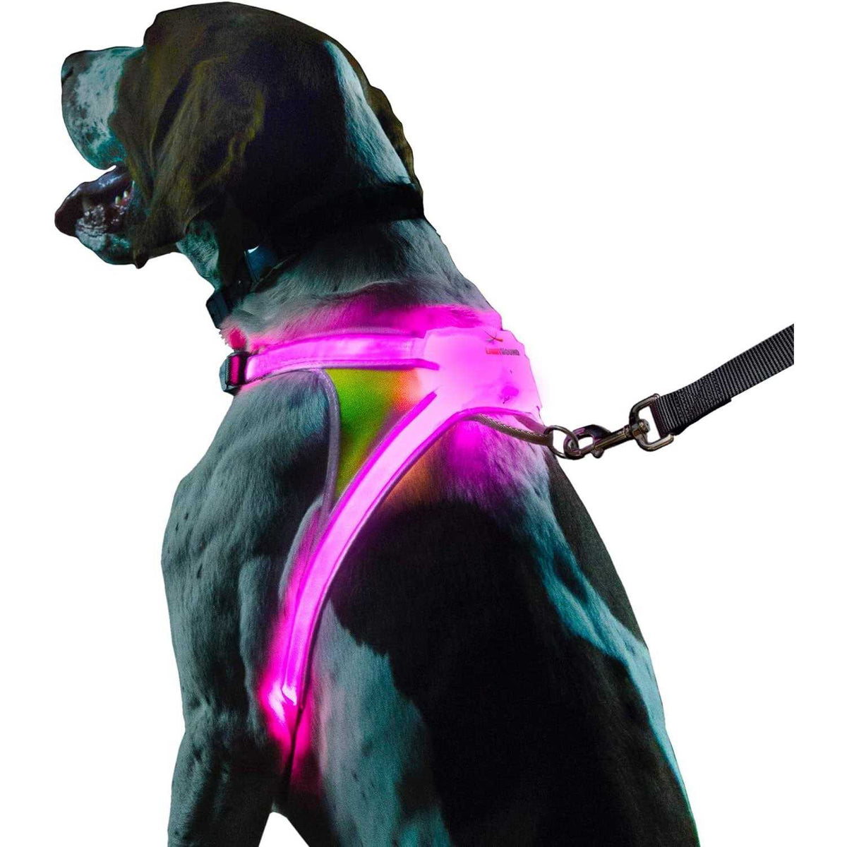 LED Reflective Dog Harness E3059