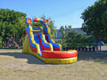 Commercial Grade Inflatable Water Slide with Pool T8313