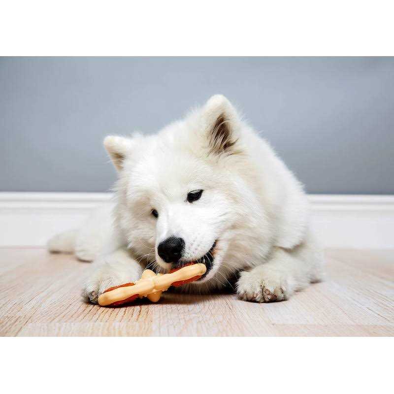 Chew Toy K716