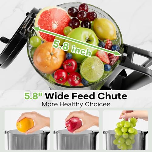 Cold Press Juicer 5.8" Wide Feed Chute 400W Slow Masticating Juicer W715