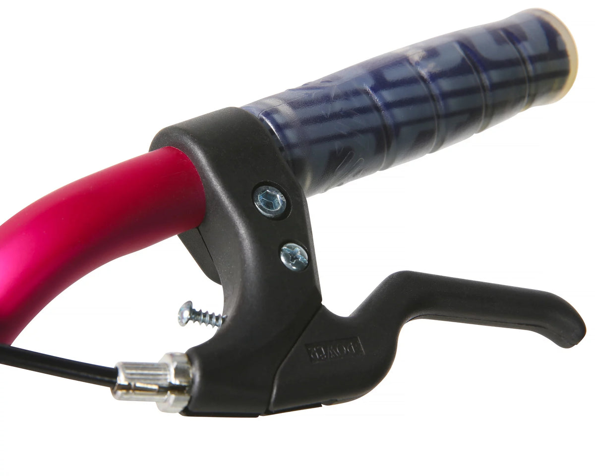 20-Inch Girls BMX Bike G9010