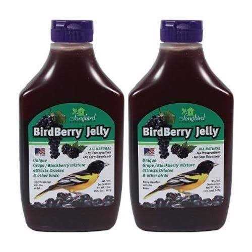 Birdberry Jelly 20 oz M861932