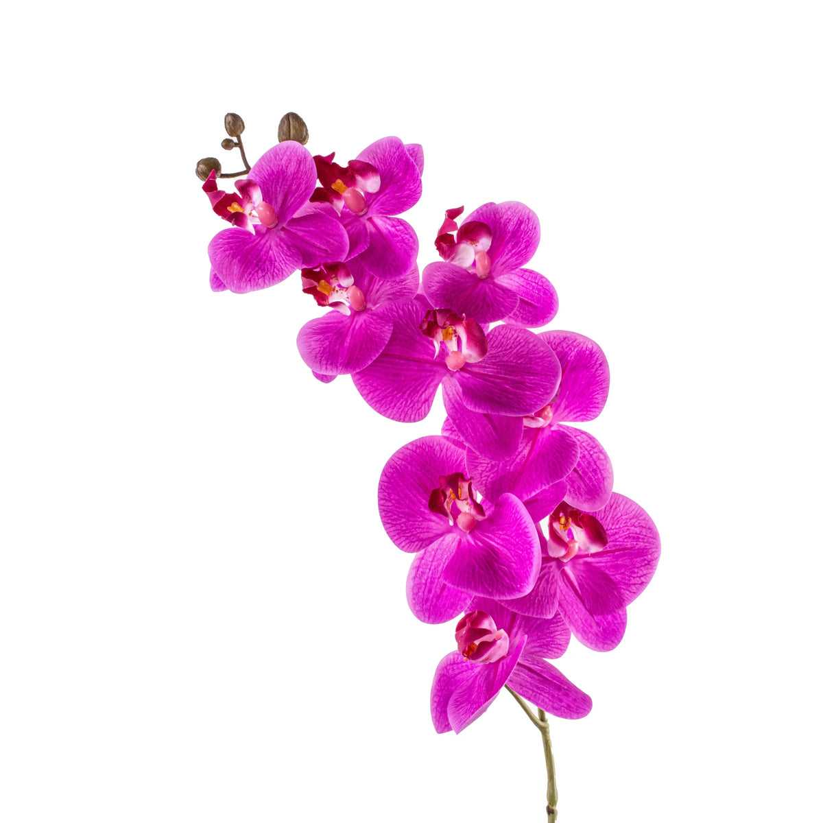 Faux Scented Purple Orchid I79596