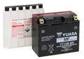 AGM Battery J119