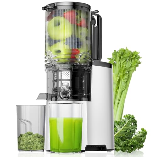 Cold Press Juicer 5.8" Wide Feed Chute 400W Slow Masticating Juicer W715