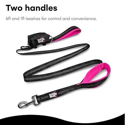 Heavy Duty Dog Leash A255