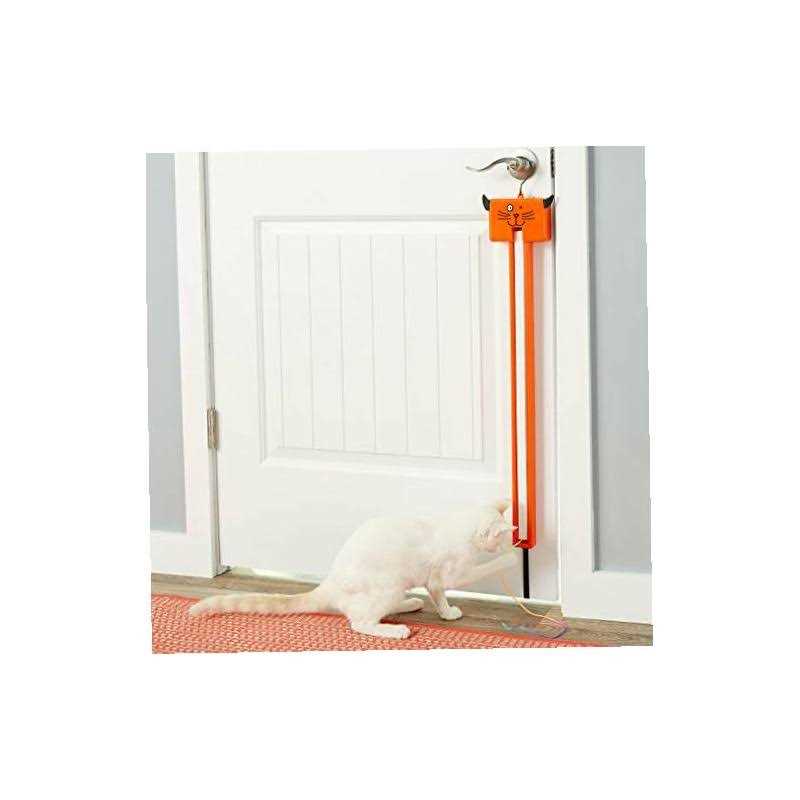Cat Toy R296334