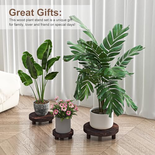 3 Pcs Wood Plant Stand T871