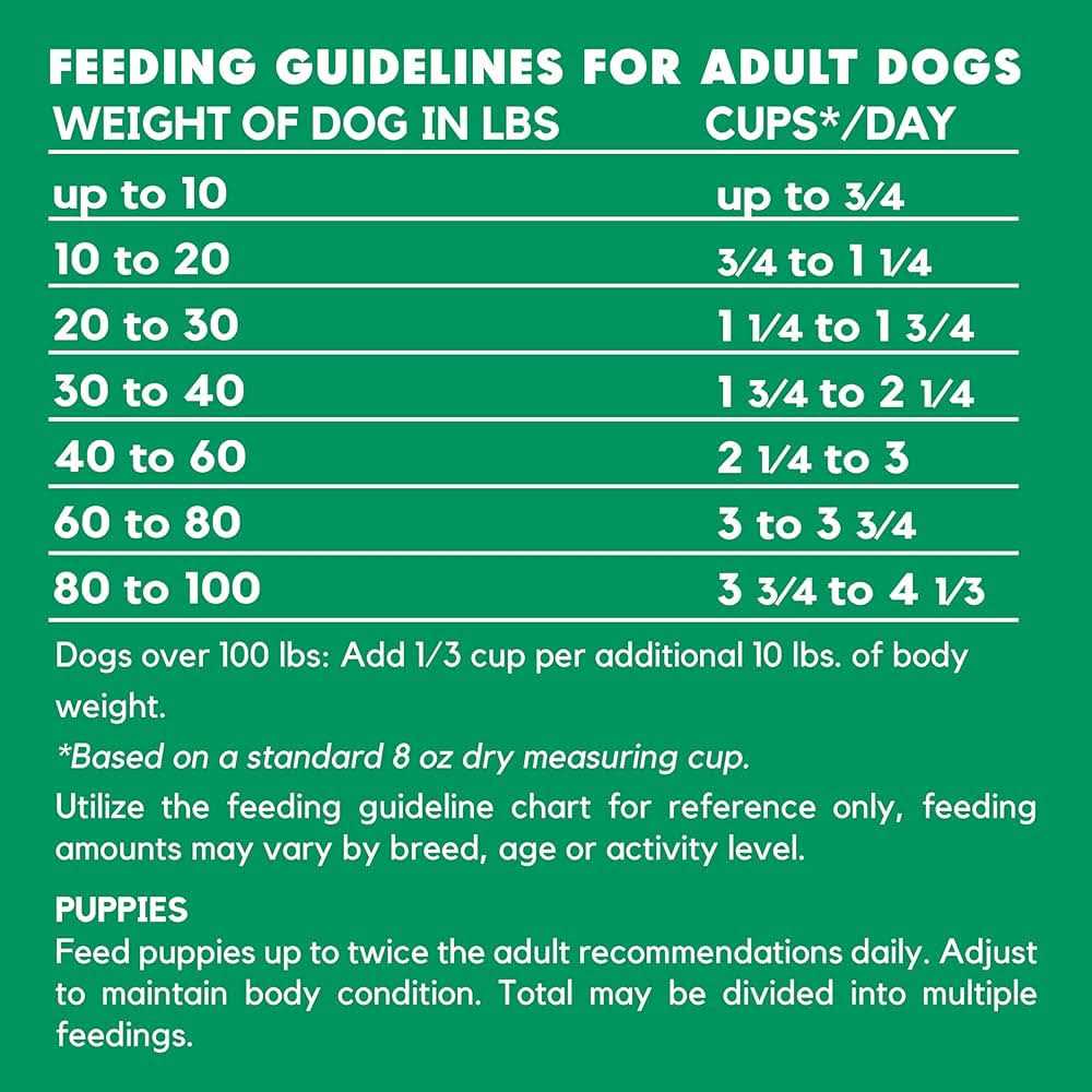 Vegetarian Formula Dry Dog Food R390