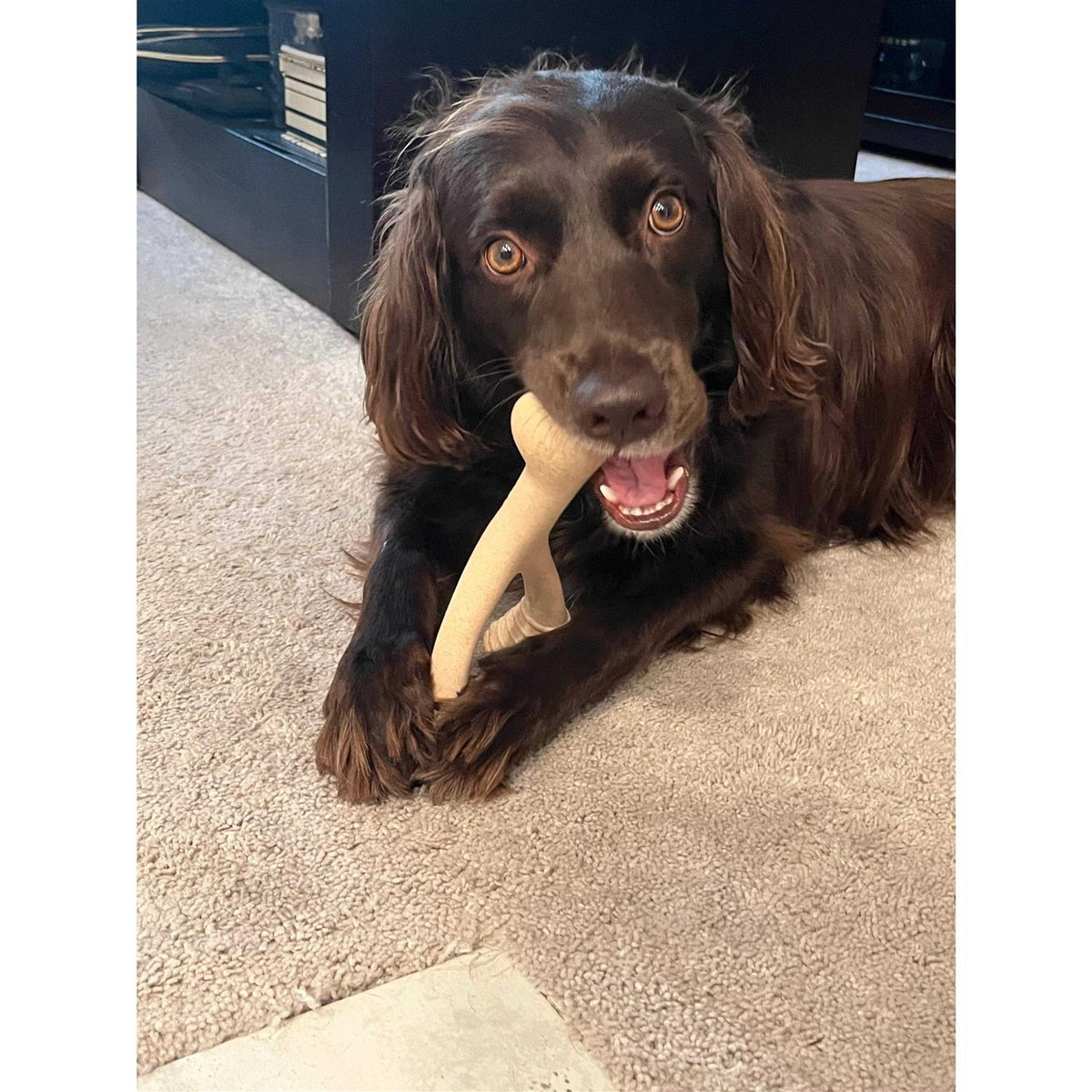 Tough Dog Chew Beef U274457