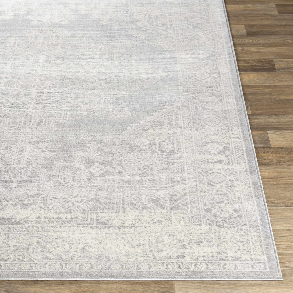 Gray Area Rug X913