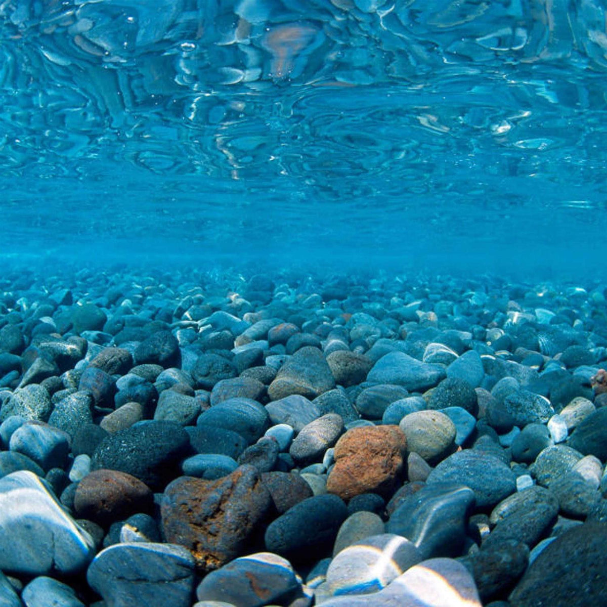 River Rock/Coral Bliss Background K283643