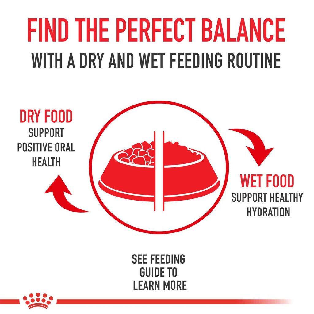 Weight Care Adult Thin Slices in Gravy Wet Cat Food P174