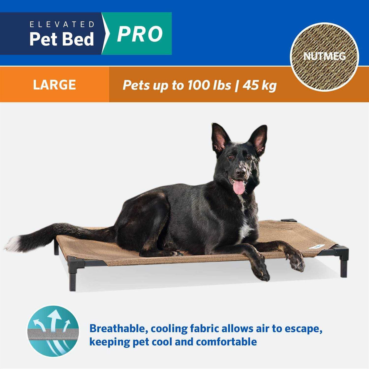 Elevated Pet Bed U979116