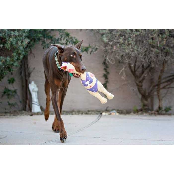 Dog Toy D69637
