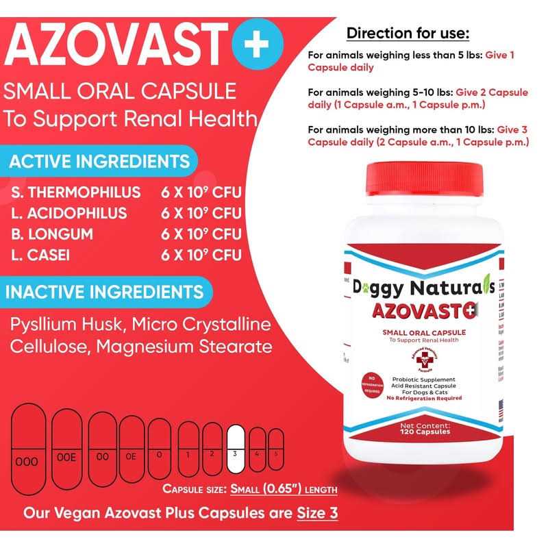 Kidney Health Supplement for Dogs & Cats H20287