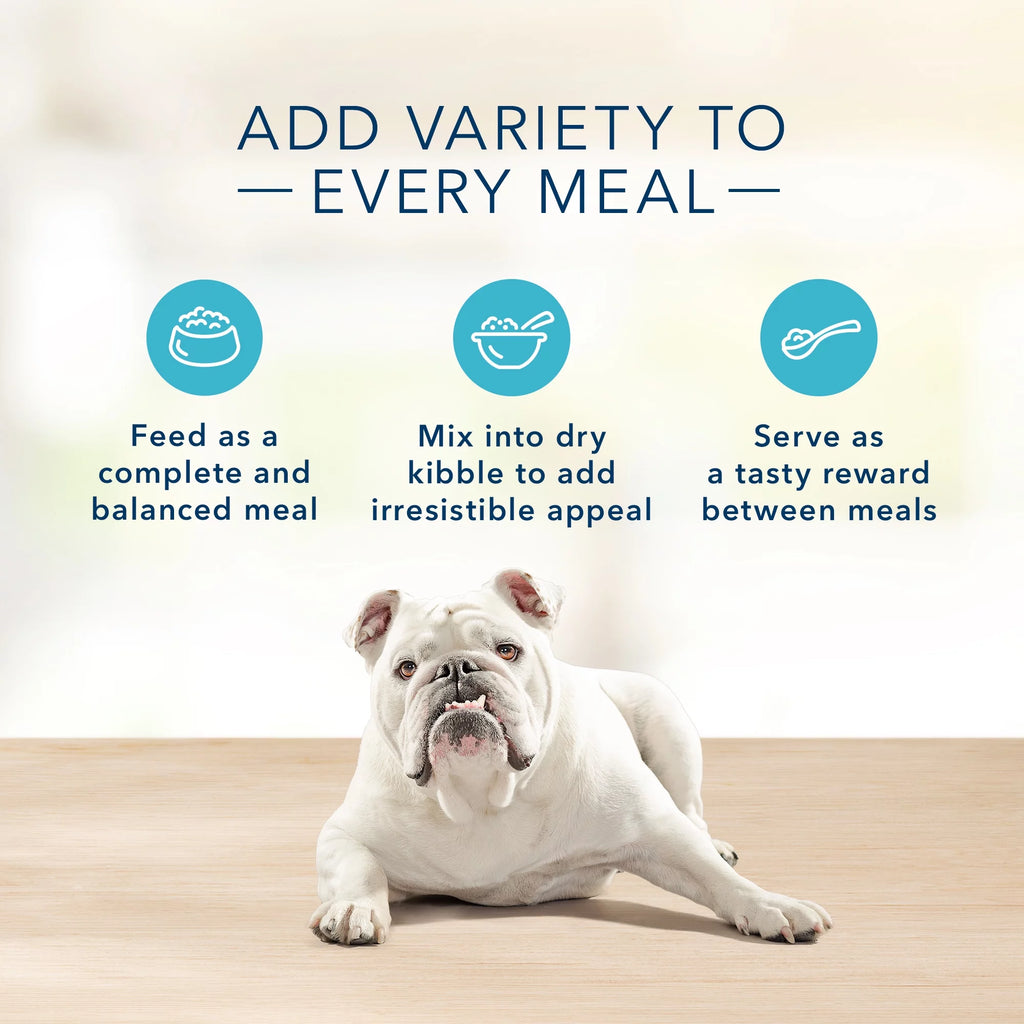 Turkey Pate Grain-Free Wet Dog Food 12.5 oz C73661