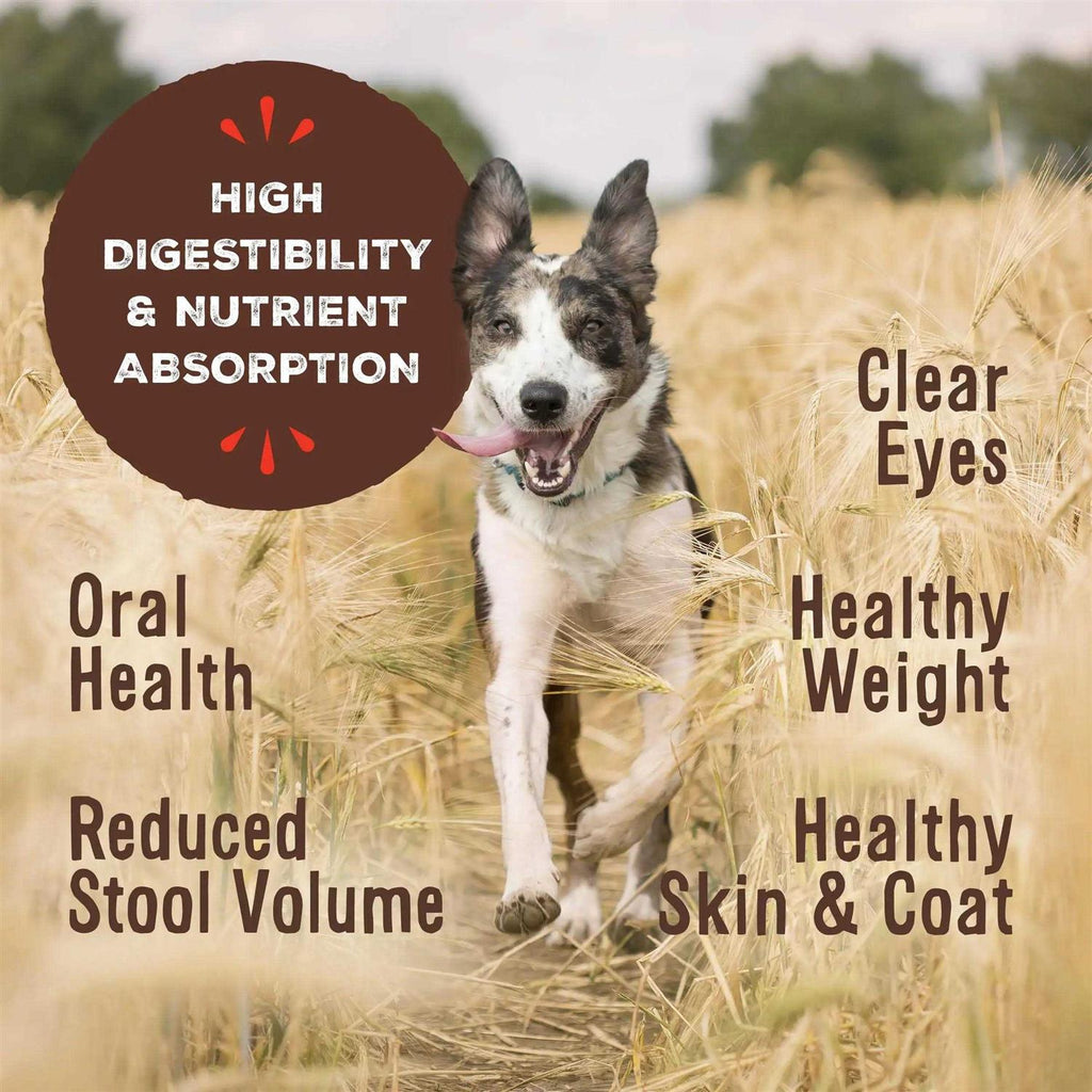 Freeze Dried Raw Dog Food C670572