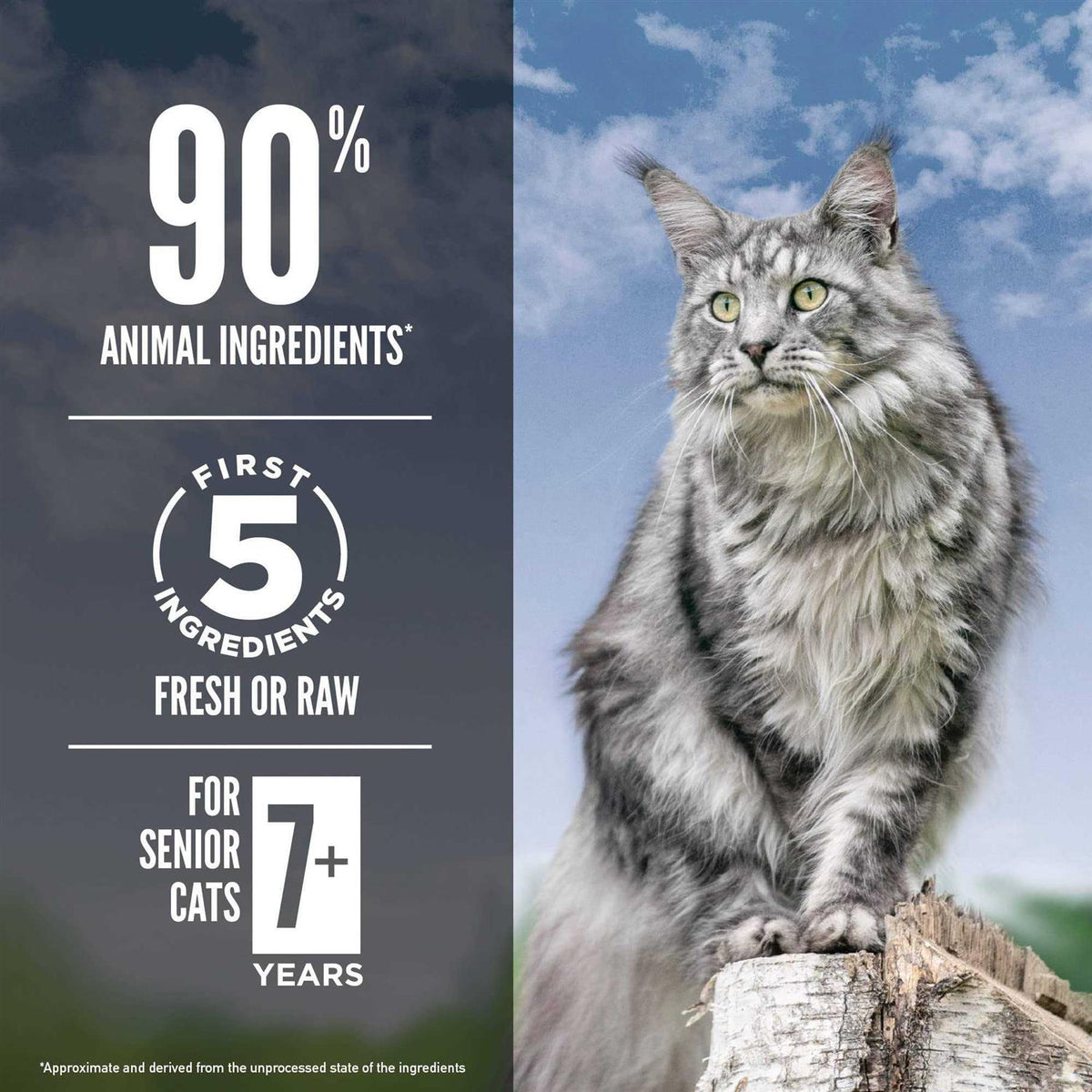 Grain Free Dry Cat Food Y34092