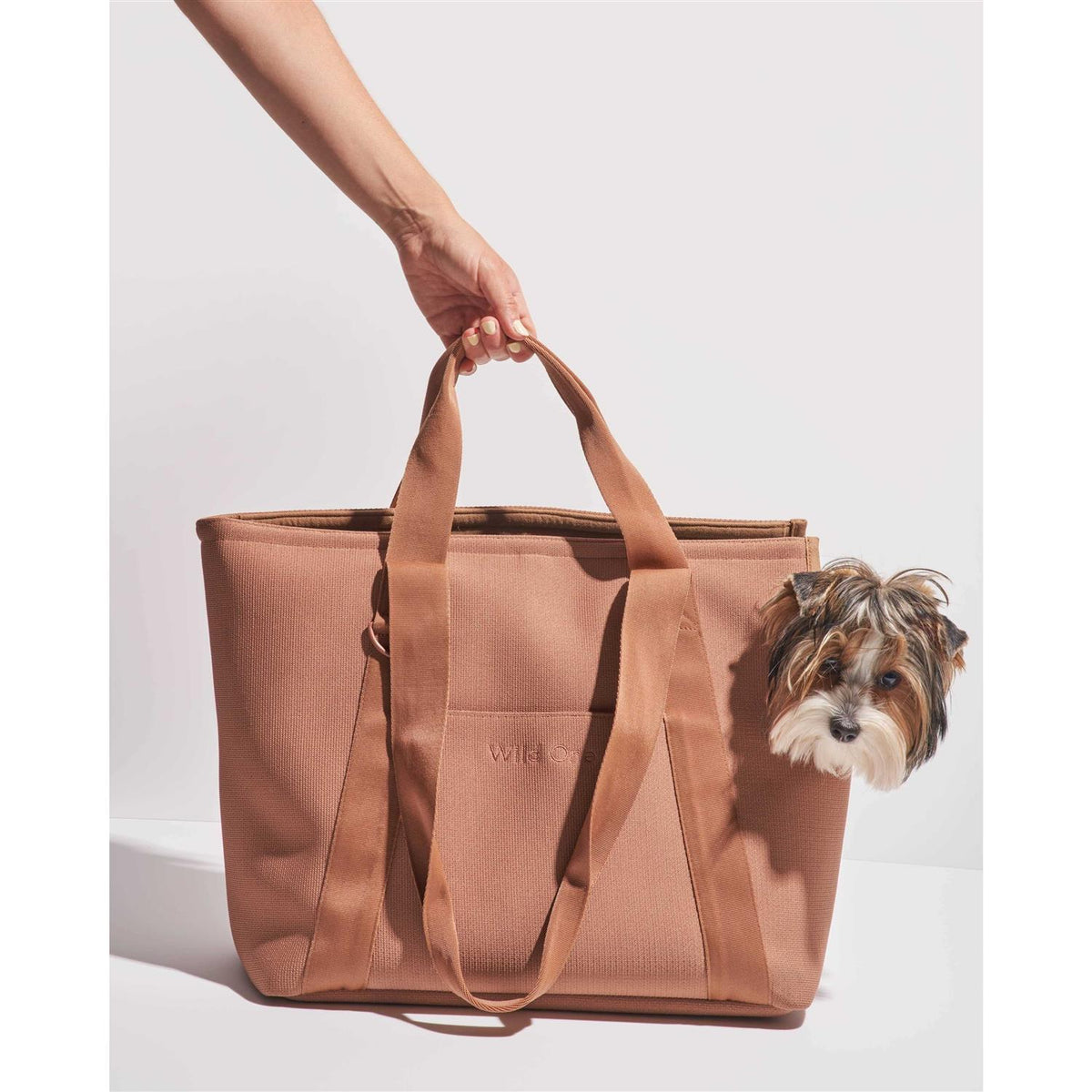 Pet Carrier R699