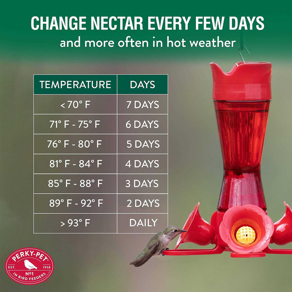 Hummingbird Nectar Concentrate J2931