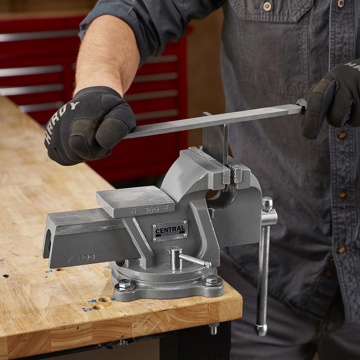 5 in. Swivel Vise with Anvil A443421