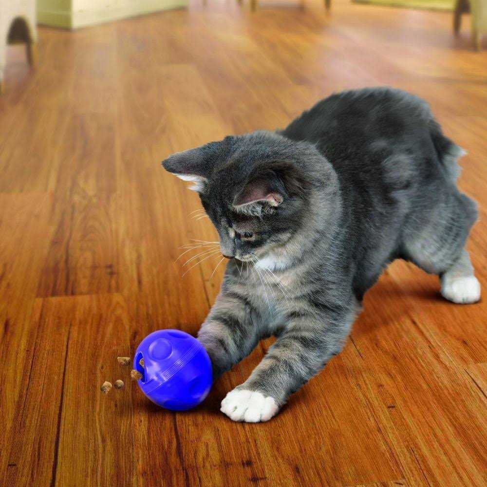Cat Treat Ball Q931392