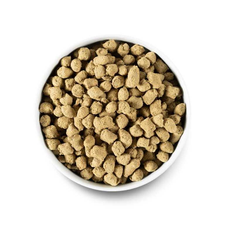 Freeze Dried Raw Dog Food B380605
