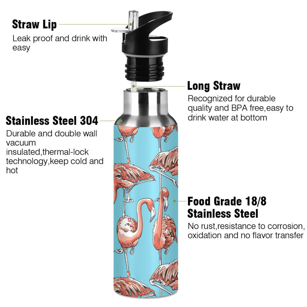Insulated Stainless Steel Water Bottle with Straw Lid, 20 oz L150733