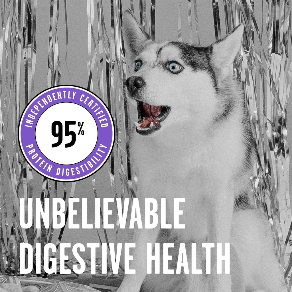 Freeze-Dried Dog Food K134099