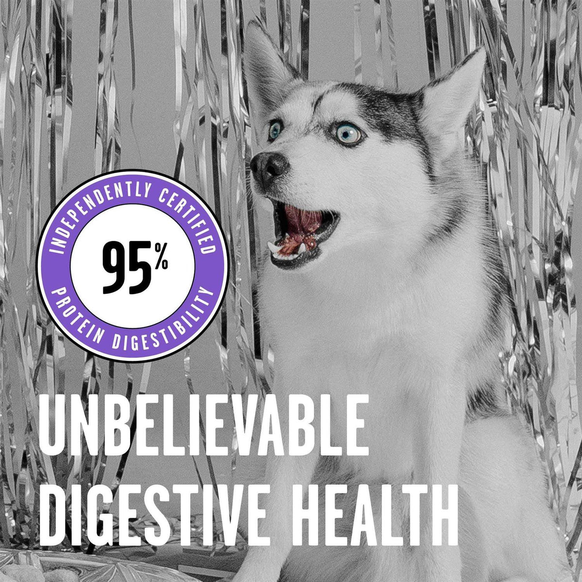 Freeze-Dried Dog Food K134099