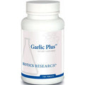 Garlic 100T S746993