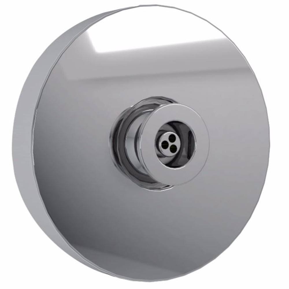 Polished Nickel Round Body Spray I9201