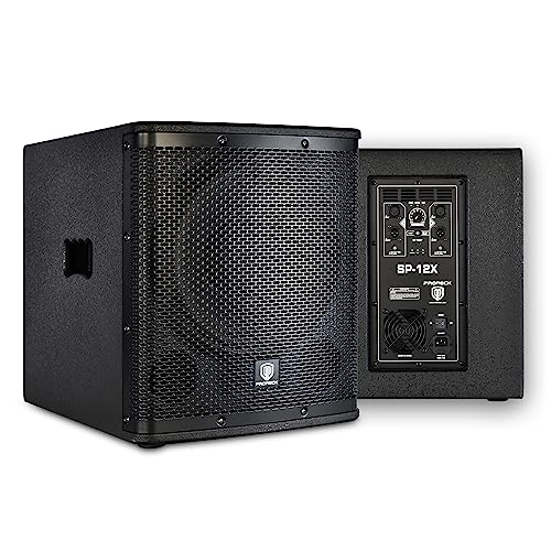 12 inch 1000W Powered PA Subwoofer with Class-D Amplifier V5129