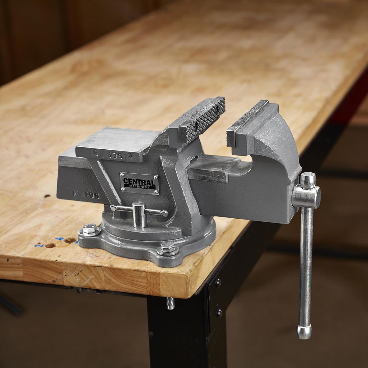 5 in. Swivel Vise with Anvil A443421