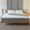 Queen 10 inch Memory Foam Mattress U400