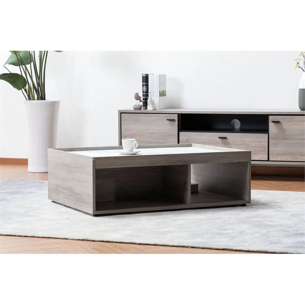 2-Piece Sleeper Sofa and Coffee Table Set I107521