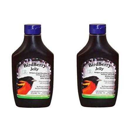 Birdberry Jelly 20 oz M861932