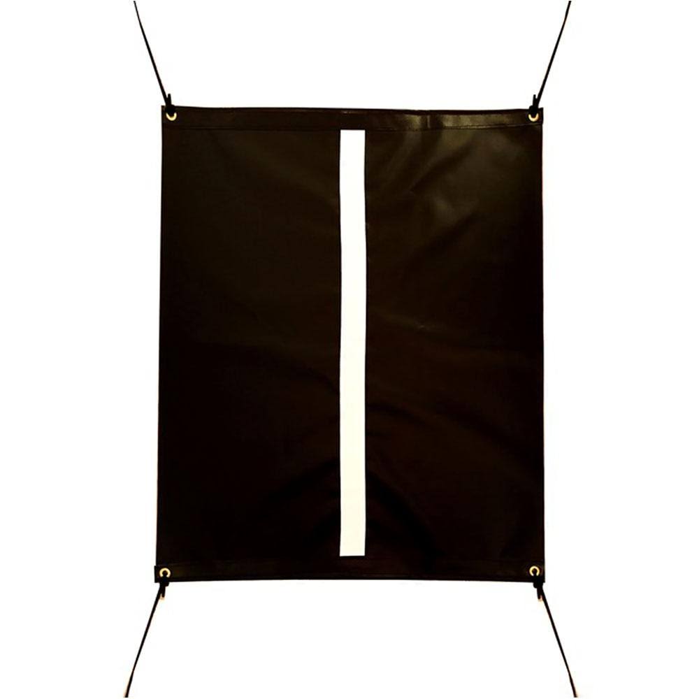 2-Sport Catcher Vinyl Backstop with Frame J60603