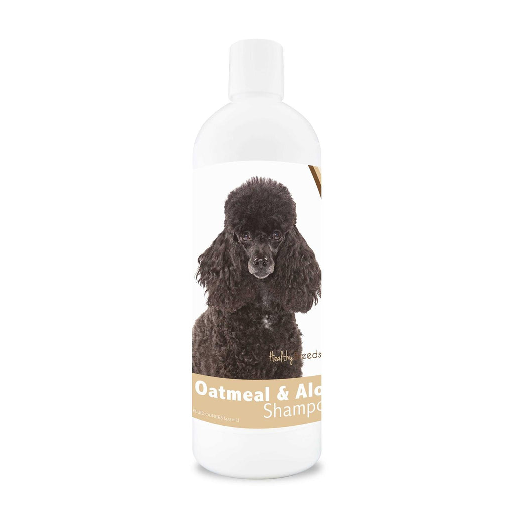 16 oz Oatmeal Shampoo with Aloe D479575