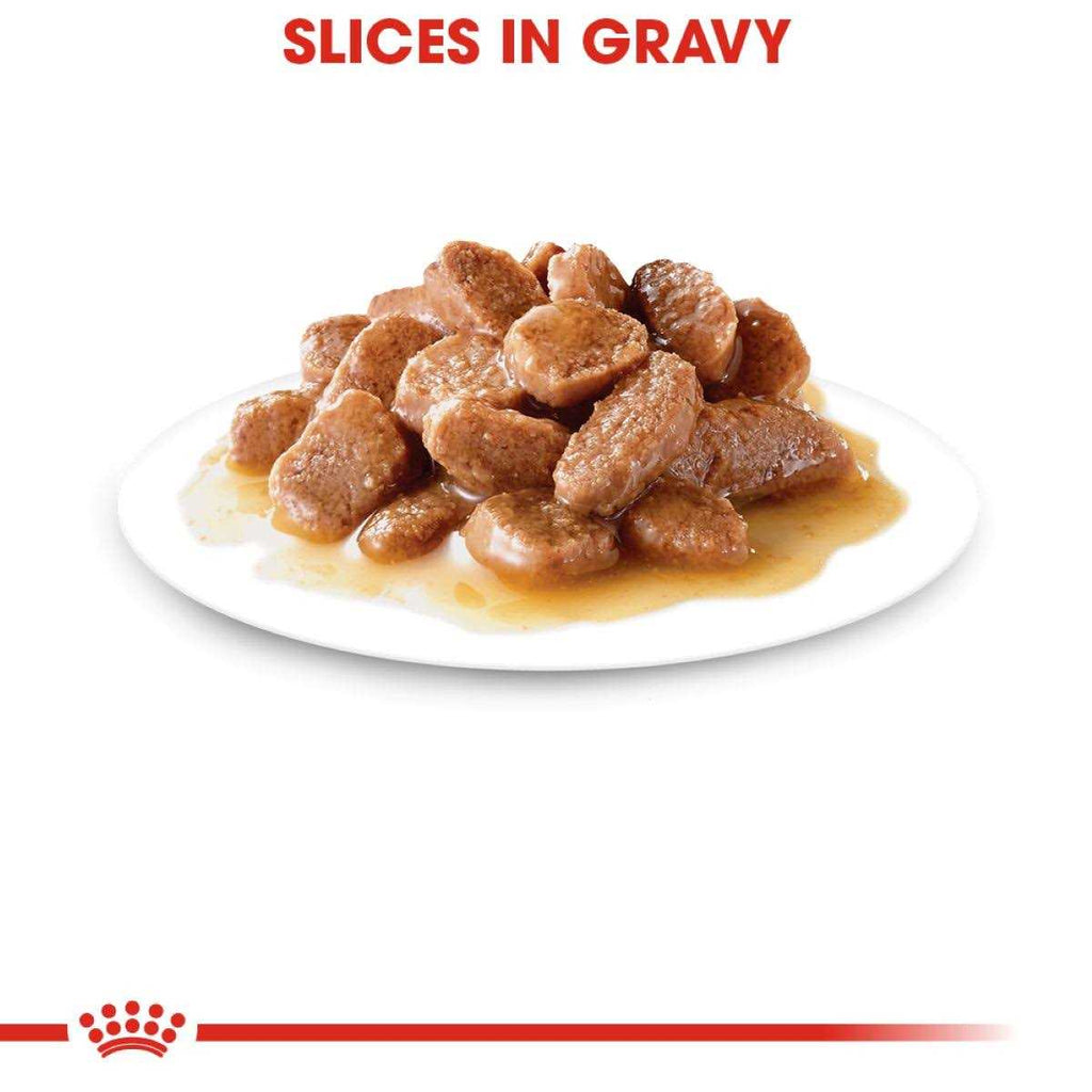Weight Care Adult Thin Slices in Gravy Wet Cat Food P174