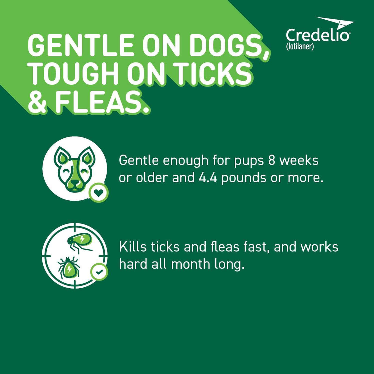 Chewable Tablet for Dogs 25.1-50 lbs P495