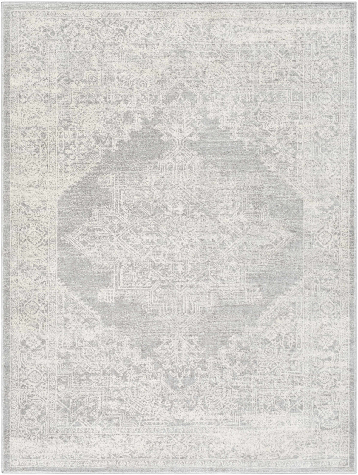 Gray Area Rug X913